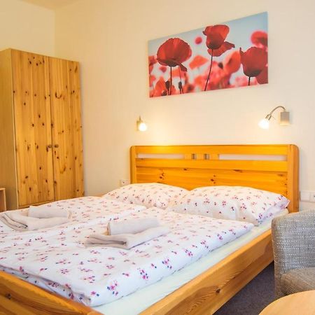 Pension U Koupaliste Tisá エクステリア 写真